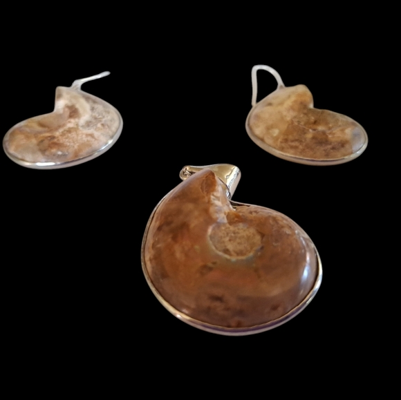 Unique Ammonite Fossil Earrings & Pendant Set 925 Sterling Silver "Stargazer" - Picture 4 of 13